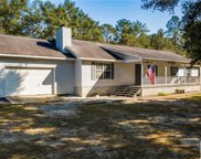 121 Cherokee Drive, Guyton image