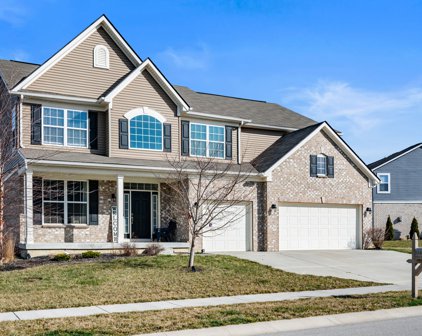 5546 W Port Drive, Mccordsville