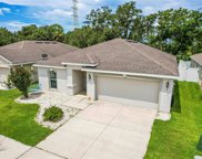 12218 Ledbury Commons Drive, Gibsonton image
