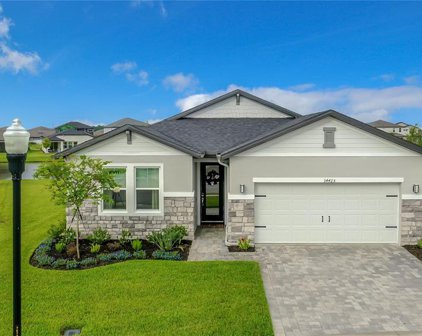 34425 Evergreen Hill Court, Wesley Chapel