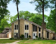 3610 Alderwood Drive, Spring image