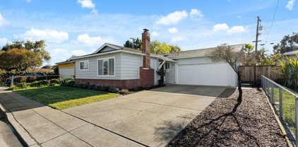 5036 Silver Reef Dr, Fremont