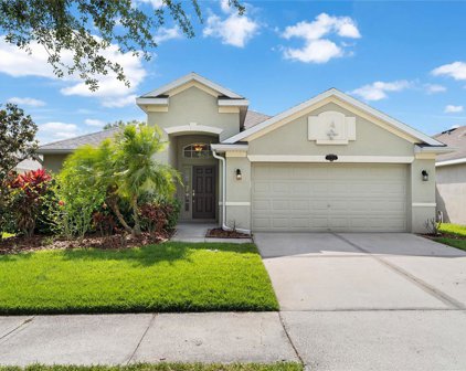 11122 Ancient Futures Drive, Tampa