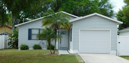 207 12th Avenue S, Safety Harbor