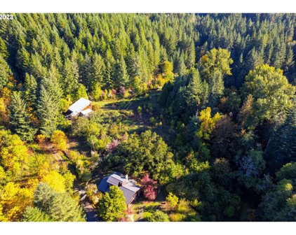 456 WARDS BUTTE RD, Cottage Grove