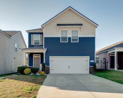 339 Victory Cir, Ashland City
