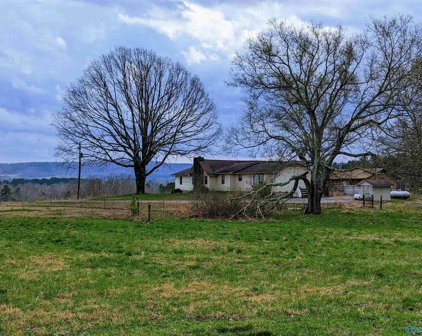 303 Hornbuckle Road, Collinsville