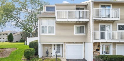 1107 Sandpiper Court, Bartlett
