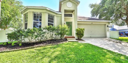 1419 Lawson Palm Court, Apopka