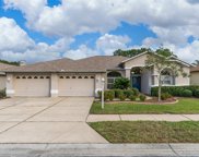 1635 Winding Willow Drive, Trinity image