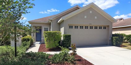 6340 Robin Cove, Lakewood Ranch