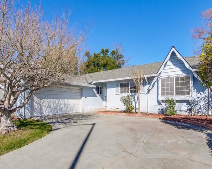 7517 Donegal DR, Cupertino
