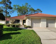 18318 Aintree Court, Tampa image