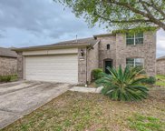 927 Honeysuckle Vine Drive, Rosenberg image