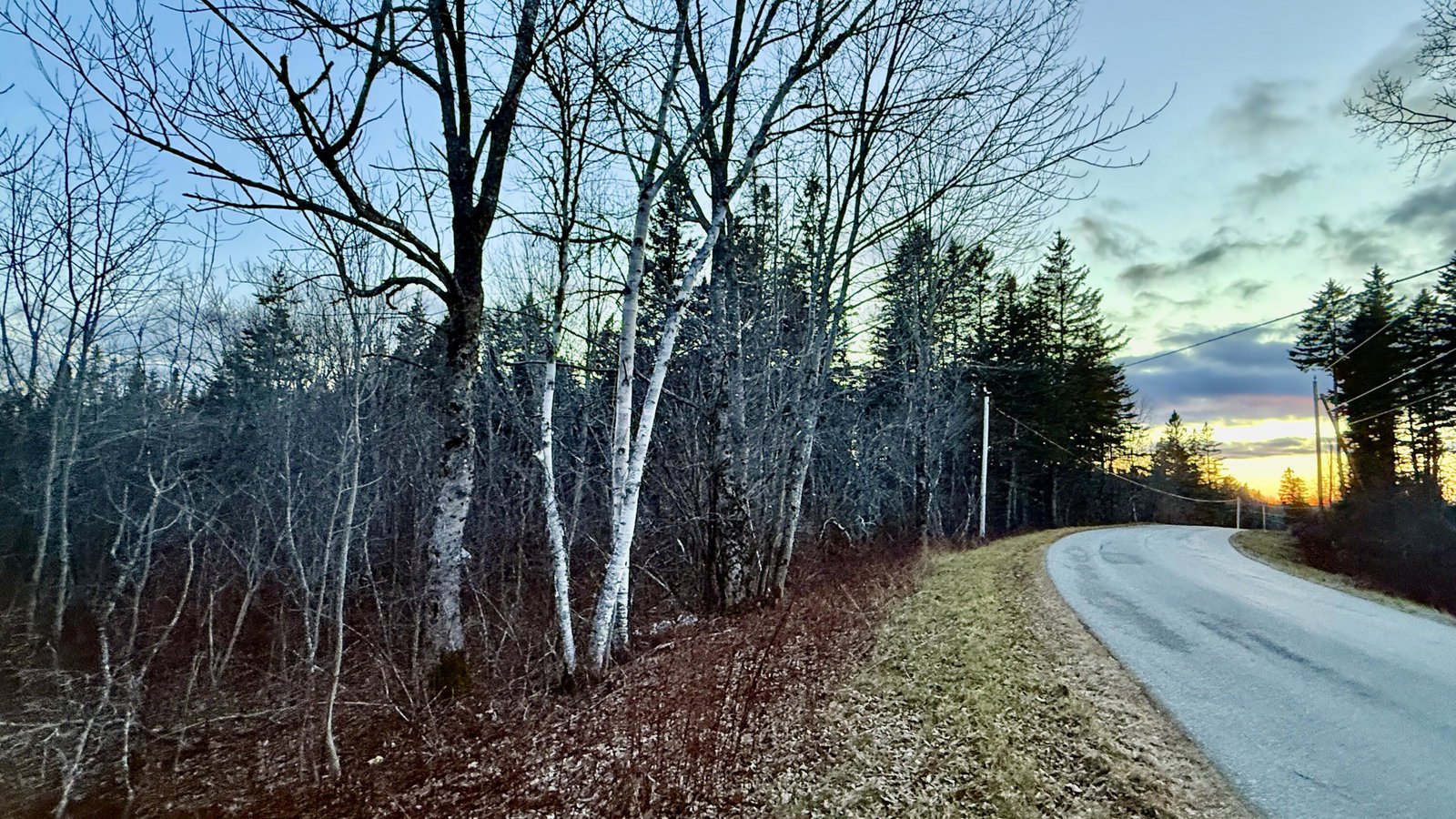 28.4 Wilcox Rd, Trescott Twp, 04652