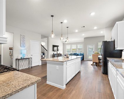 7010 Harbor Valley Lane, Manvel