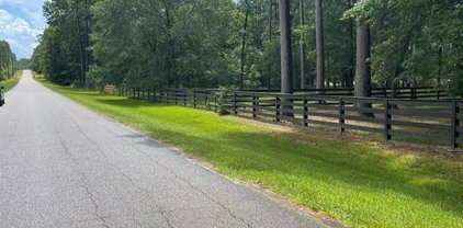 Woodlane Boulevard, Magnolia