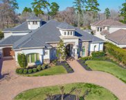 7618 Raes Creek Drive, Spring image