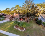 3257 Heather Glynn Drive, Mulberry image