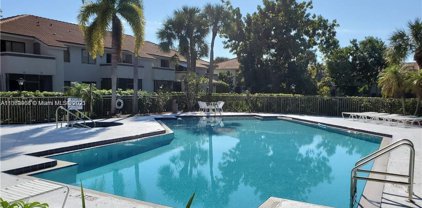 Coral Springs