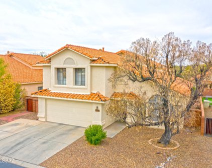 10317 N Mineral Spring, Oro Valley