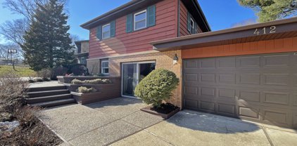412 Bunning Drive, Downers Grove