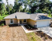 971 Nw 124th Street, Citra image