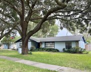 9218 Knights Branch Street, Temple Terrace image