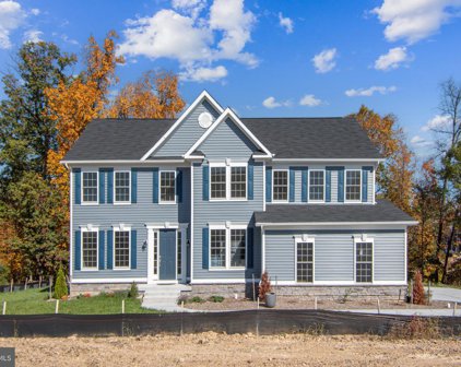 203 Williamson Rd, Winchester
