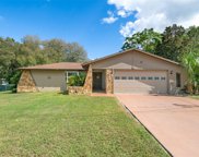 828 Cedar Avenue, Inverness image
