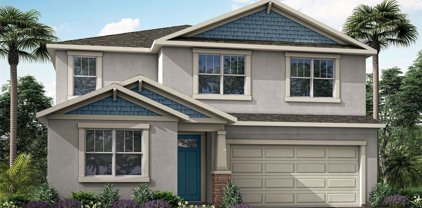 6316 Timberdale Avenue, Wesley Chapel