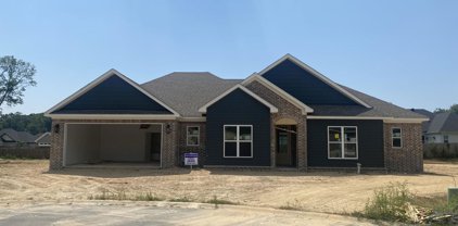 166 Roman Heights Avenue, Bryant
