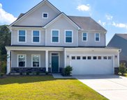 123 Country Oaks Lane, Wando image