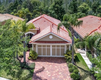 14638 Mirasol Manor Court, Tampa
