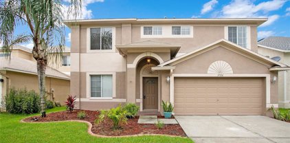 19326 Sea Mist Lane, Lutz