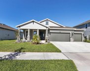 11814 Tetrafin Drive, Riverview image