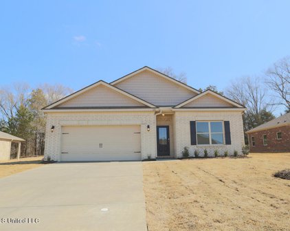 8784 Mary Frances Drive, Southaven