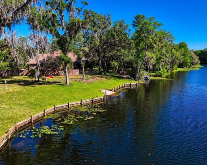 7810 Terrace Oaks Court, Tampa