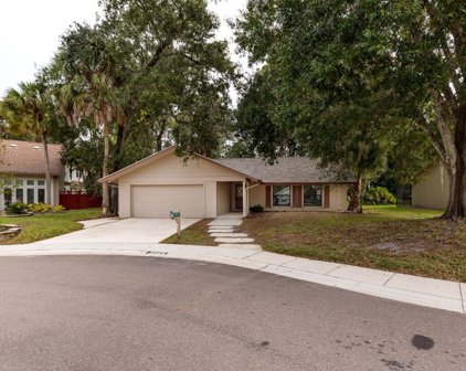 2665 Woodhall Terrace, Palm Harbor