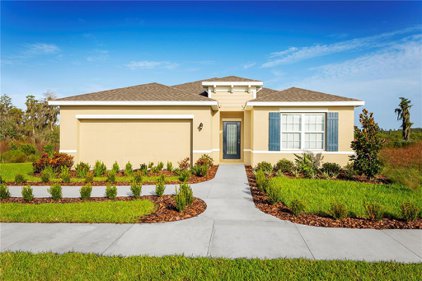 10234 Gliding Eagle Way, Land O' Lakes