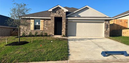 12126 Blue Coast Court, Conroe