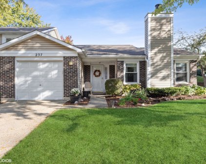 237 Signature Drive, Bloomingdale