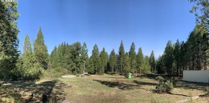 54763 Caddis LN Unit #200, McKenzie Bridge