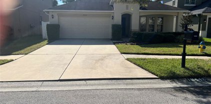 18448 Red Willow Way, Land O' Lakes
