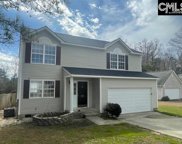 305 Cutter Court, Chapin image