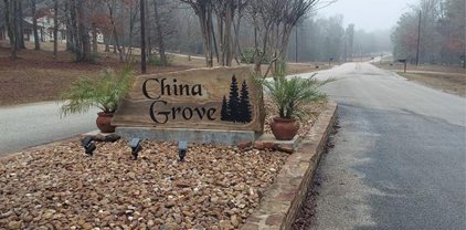 15330 China Grove Lane, Willis