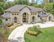 30 Hepplewhite Way, The Woodlands image