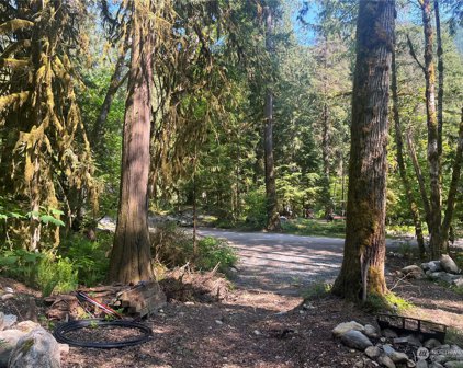 Cascade Park Place Unit #D1-67, Marblemount