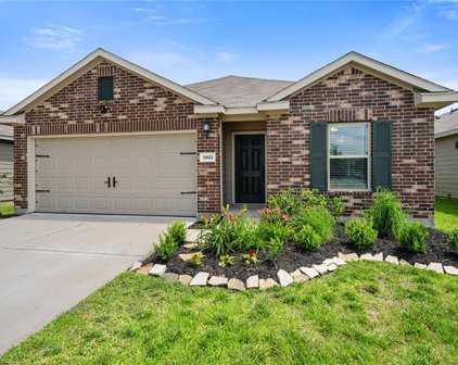 18611 Yellow Lily Trail, Tomball