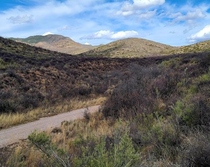 Lot 9 W Red Mountain Road Unit #9, Bisbee
